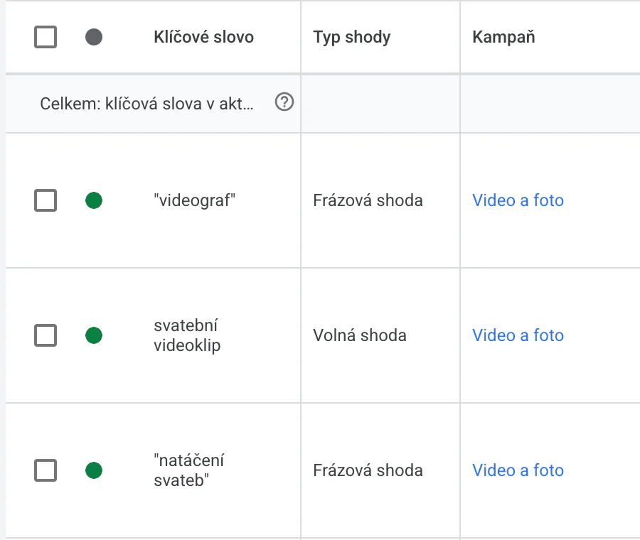 Přehled vyhledávacích dotazů v Google Ads s dotazy, u kterých se reklama zobrazila