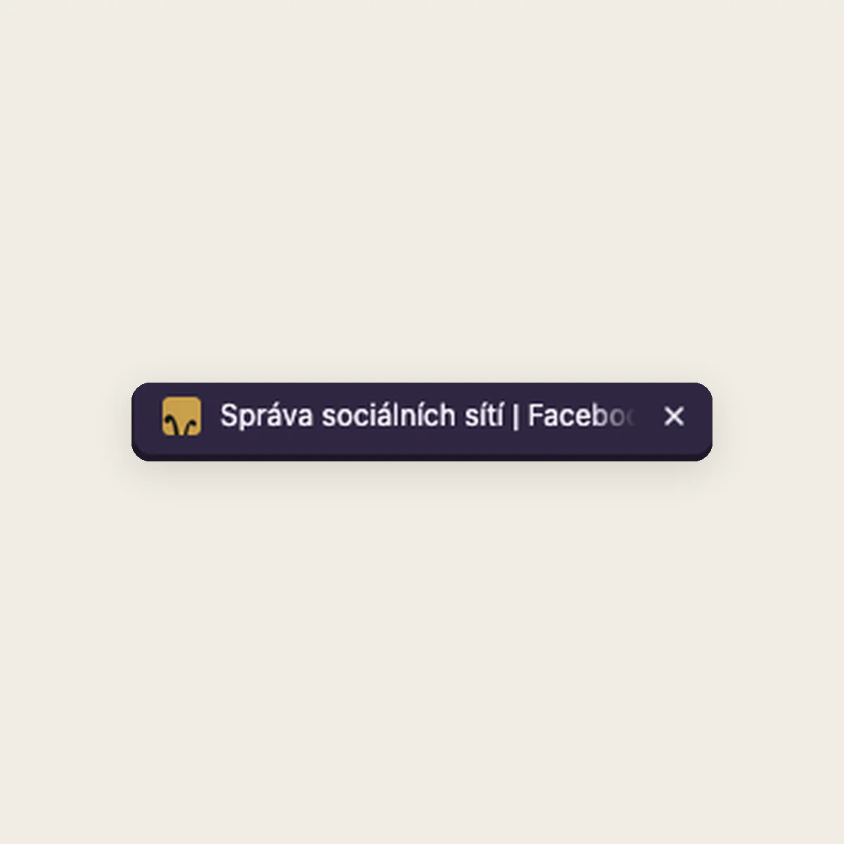 Zobrazení title tag v záložce prohlížeče.